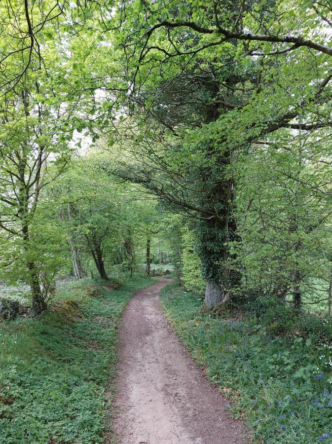 Champ-du-BoultLe Petit Bois Normand - Chambre D'Hote住宿加早餐旅馆 外观 照片