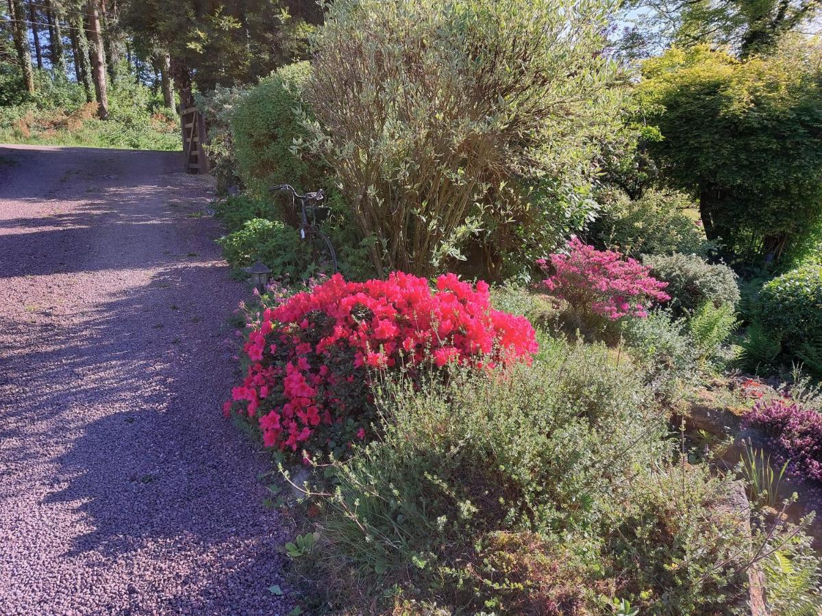 Champ-du-BoultLe Petit Bois Normand - Chambre D'Hote住宿加早餐旅馆 外观 照片